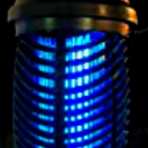 Bug zapper